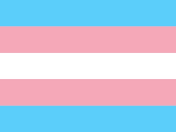 Transgender details on wikipedia.org